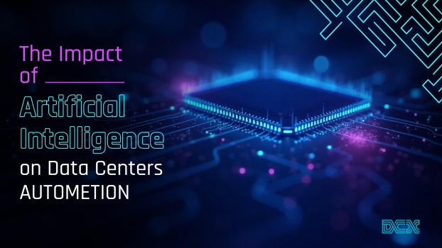 אימג' למאמר של דדי באנגלית